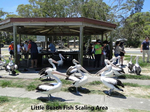Rubys Retreat 44 Achilles Street - Accommodation Noosa 4