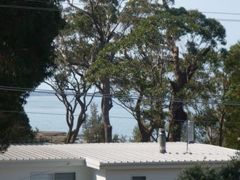 Bawley Break - Accommodation Noosa 4