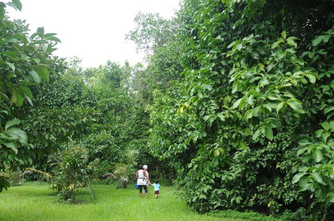 Wildwood - Accommodation Noosa 1
