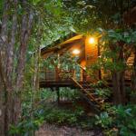 Wildwood - Accommodation Noosa 0