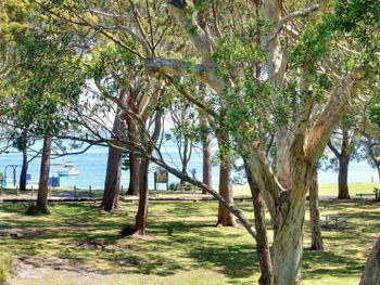Nicholli Bay Parklands Unit 32 2 Gowrie Avenue - Accommodation Noosa 3