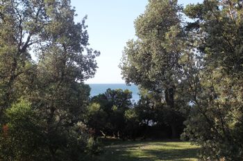 Uringah Rejuvenate Stays - Accommodation Noosa 6