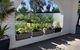 Mulwala Resort - thumb 6