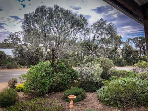 Samphire Beach House - Accommodation Noosa 4