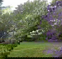 Petersons Armidale Winery  Guesthouse - Accommodation Noosa