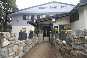 Black Bear Inn - Accommodation Noosa 1