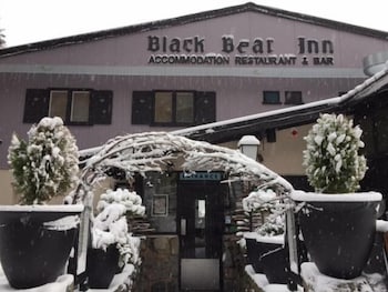 Black Bear Inn - Accommodation Noosa 0