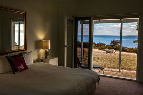 Antechamber Bay Retreats - Accommodation Noosa 4