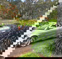 Valley Farm Vineyard Cottages - Accommodation Noosa