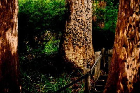 Billa Billa Farm Cottages - Accommodation Noosa 2