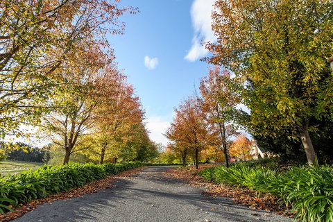 Montfort Manor - Accommodation Noosa 0