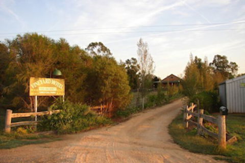 The Vineyard Motel - Accommodation Noosa 1