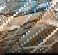 Platinum Suites Fremantle - Accommodation Noosa