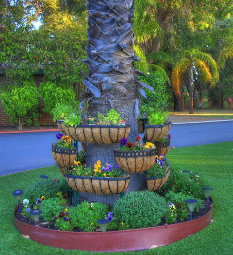Mandurah Caravan & Tourist Park - Accommodation Noosa 4