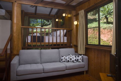 Milkwood Lodge - Accommodation Noosa 5