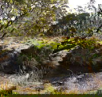 Green Gully House - Accommodation Noosa