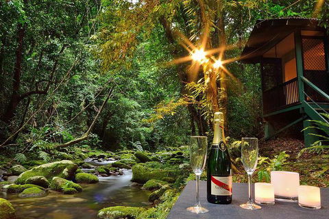 Misty Mountains Rainforest Retreat - Accommodation Noosa 3