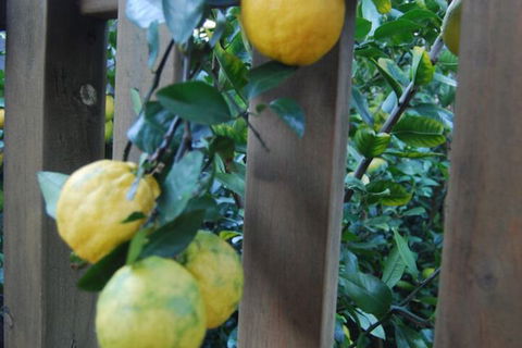 Highclaire House Bed & Breakfast - Accommodation Noosa 1