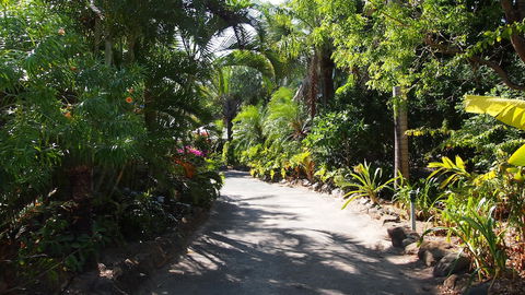 Palm Bay Resort - Accommodation Noosa 3