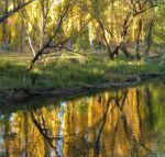 On The Banks - Accommodation Noosa