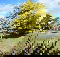 Bairnsdale Main Motel - Accommodation Noosa