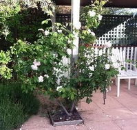 Ellesmere House - Accommodation Noosa