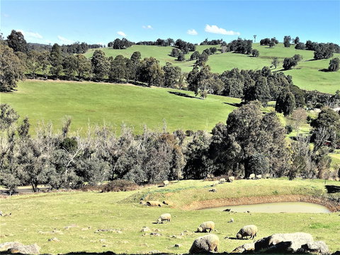 Balingup Highview Chalets - Accommodation Noosa 0