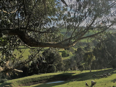 Balingup Highview Chalets - Accommodation Noosa 1