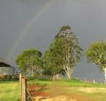 CBR Equine Cottage - Accommodation Noosa