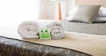 Capella Coach Inn - Accommodation Noosa 2