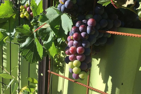 Bed & Breakfast In Perth - Accommodation Noosa 2