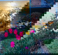 The Vines Motel and Cottages - Accommodation Noosa