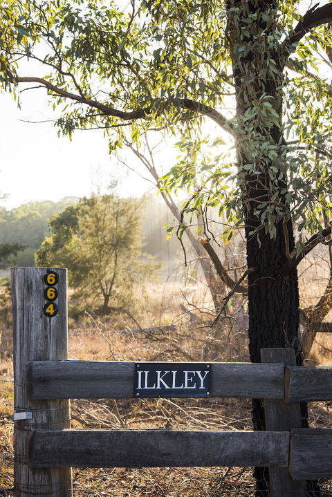 Ilkley Cottages - Accommodation Noosa 0