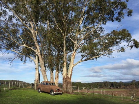 Duffys Country Accommodation - Accommodation Noosa 2