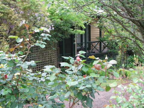 Leafield Cottages - Accommodation Noosa 5