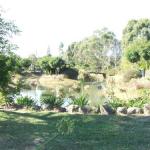 Still Waters - Accommodation Noosa 0