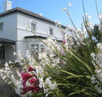 The Grove Cottages - Accommodation Noosa