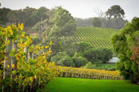 41 Grunters Accommodation - Accommodation Noosa 3
