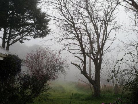 Brookvale House Balingup - Accommodation Noosa 3