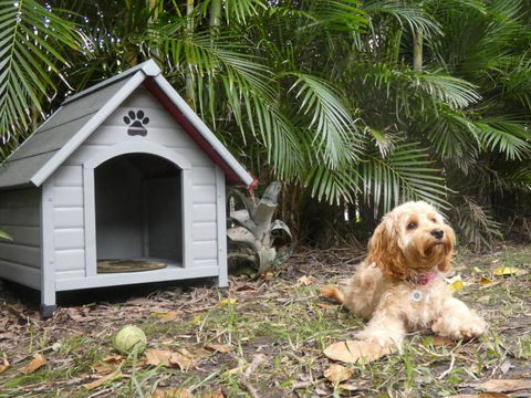 CHILL OUT BEACH HOUSE At FORSTER - Accommodation Noosa 3