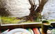 Platypus Playground Riverside Cottage - thumb 3