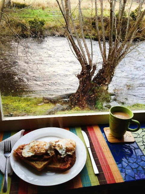 Platypus Playground Riverside Cottage - Accommodation Noosa 3
