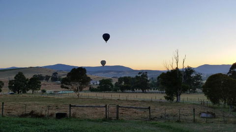 Art At Linden Gate - Accommodation Noosa 5