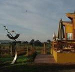 Art at Linden Gate - Accommodation Noosa