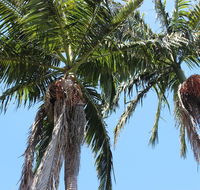 Tri Byron Bay - Accommodation Noosa