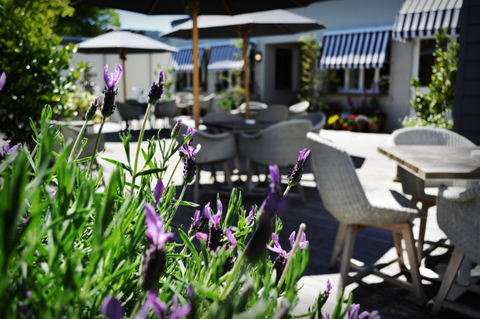 Royal Hotel Bowral - Accommodation Noosa 3