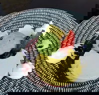 Sandringham Club - Accommodation Noosa