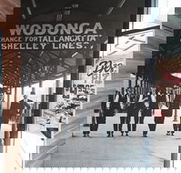 Domino's Pizza - Accommodation Noosa