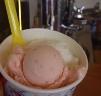 Bermagui Gelati Clinic - Accommodation Noosa