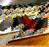 Freewave Sushi  Burgers - Accommodation Noosa